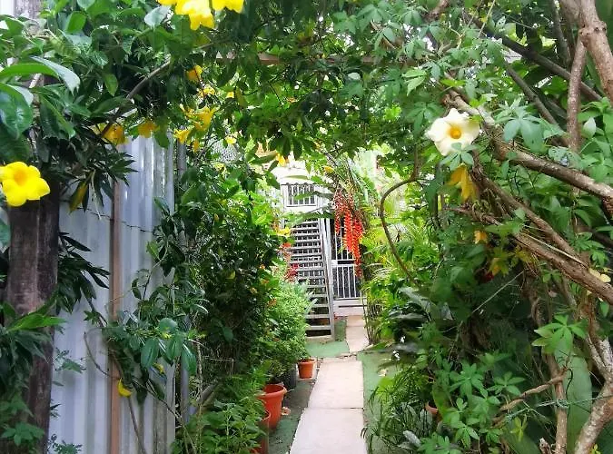 Apartment Cozy Sudio#1, 5min & 1 Hour Liberia Int Arpto *